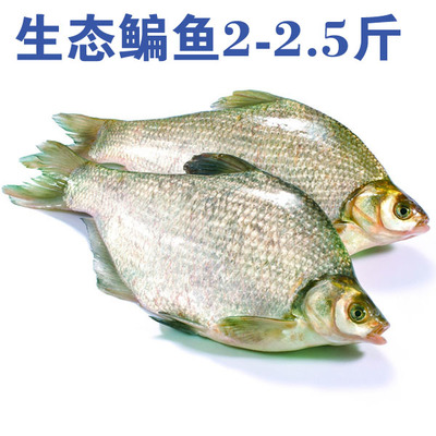 聯(lián)華易購(gòu)OK卡 精選生鮮冷凍冷藏海鮮水產(chǎn)，鮮美直達(dá)您的餐桌
