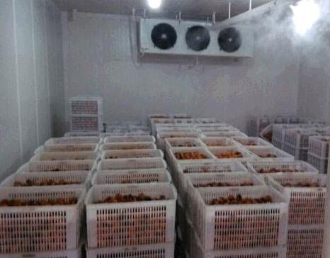 鄭州保鮮冷庫(kù)出租 水產(chǎn)品冷庫(kù)租賃