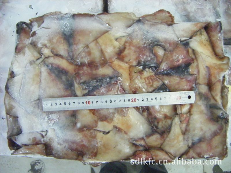 【魷魚耳/冷凍魚耳/生魷魚耳/凍鮮魷魚耳】價格,廠家,圖片,鮮活/冷凍水產(chǎn),龍口市東方食品冷藏-