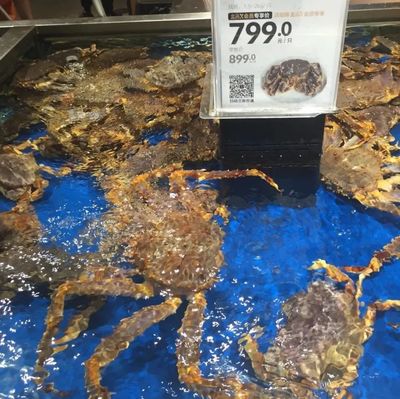 不用搶!北京的&ldquo;菜籃子&rdquo;穩(wěn)著呢!
